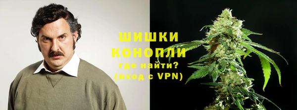 хмурый Мегион