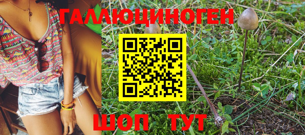 Галлюциногенные грибы Psilocybine cubensis Комсомольск-на-Амуре