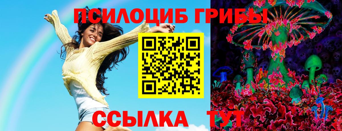 Псилоцибиновые грибы мицелий Комсомольск-на-Амуре