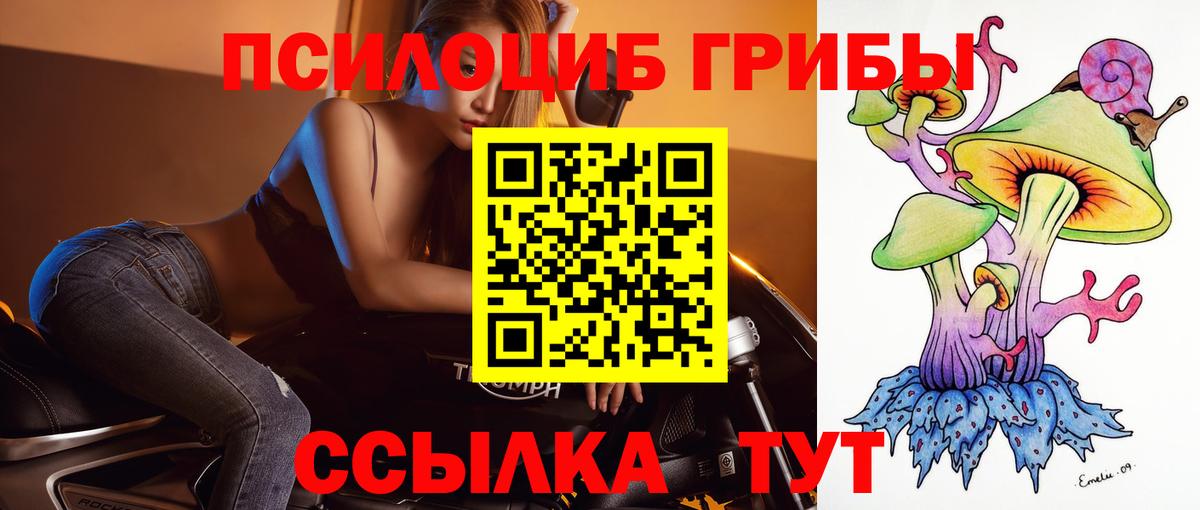 Псилоцибиновые грибы мицелий  Комсомольск-на-Амуре 