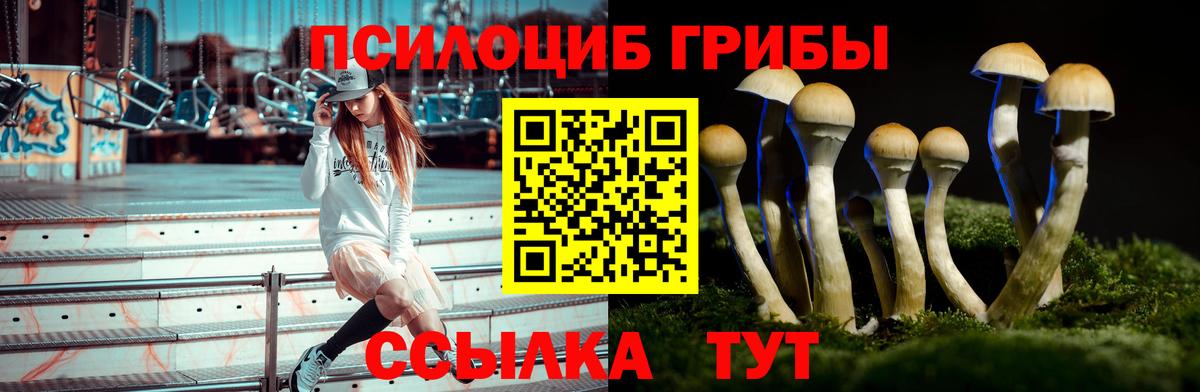 Комсомольск-на-Амуре  Галлюциногенные грибы Psilocybine cubensis  Вход с VPN 